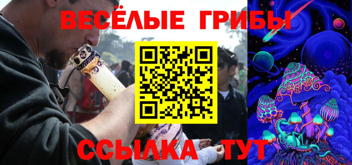 Псилоцибиновые грибы GOLDEN TEACHER  Вход с VPN  Прохладный 