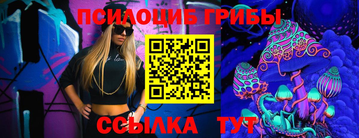 Псилоцибиновые грибы GOLDEN TEACHER Прохладный